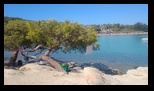 Halkidiki - Sithonia - Lagonissi -02-09-2025 - Bogdan Balaban
